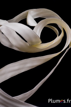 Nastro raso - 100 x 2,5 cm - crema